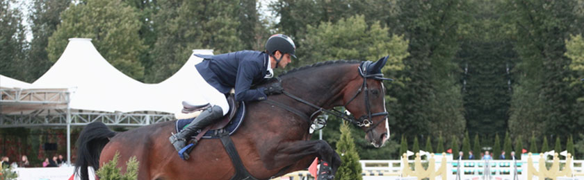 Riders and horses VAM in Russian National Team!