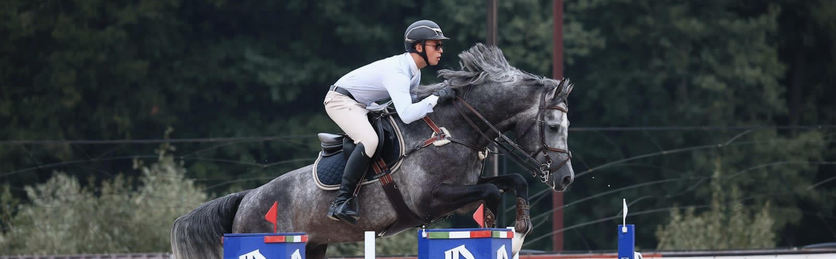 One more Eurasian sale through VAM Horses!