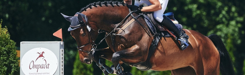 Блестящее начало турнира CSI2*-W в КСК "Отрада" для Вадима Черевань!