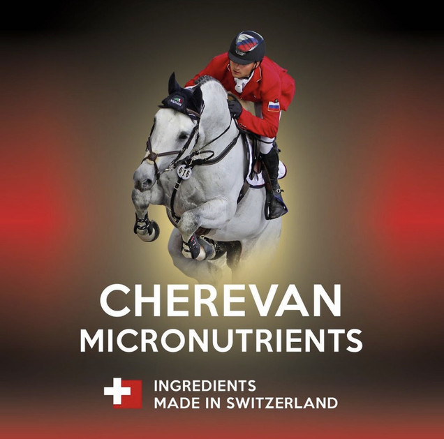 Protect Feed - a new partner of VAM Horses!